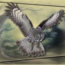 Схема вышивки «bagoly»