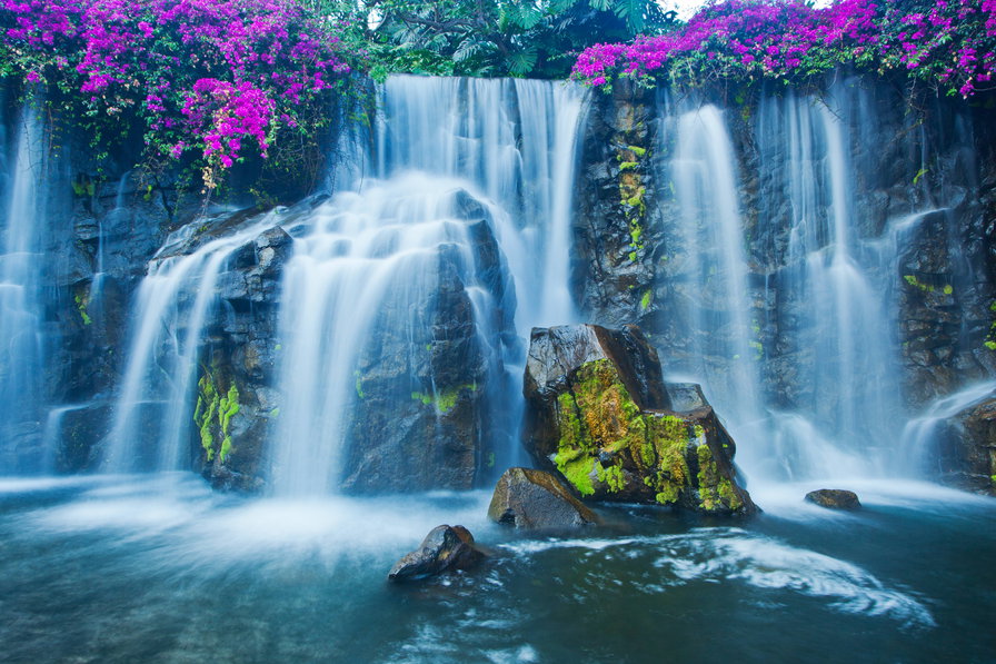 Водопад - вода, цветы, водопад, камент - оригинал