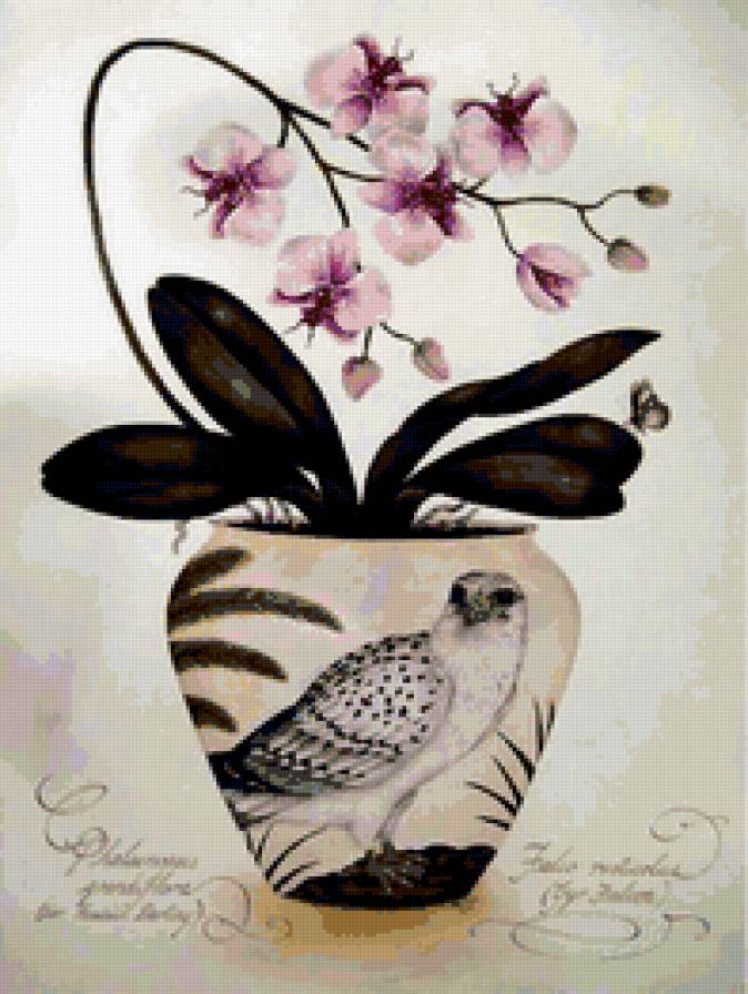 Серия "Орхидеи" - предпросмотр