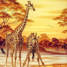 Схема вышивки «zsiráfok»