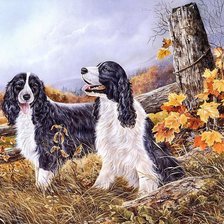 Схема вышивки «kutyusok»