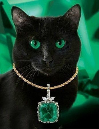 кот - кошки, зеленый, животные, кот - оригинал
