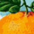 Предпросмотр схемы вышивки «Апельсиновый мармелад мммм))» (№231557)