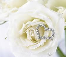 Схема вышивки «роза»