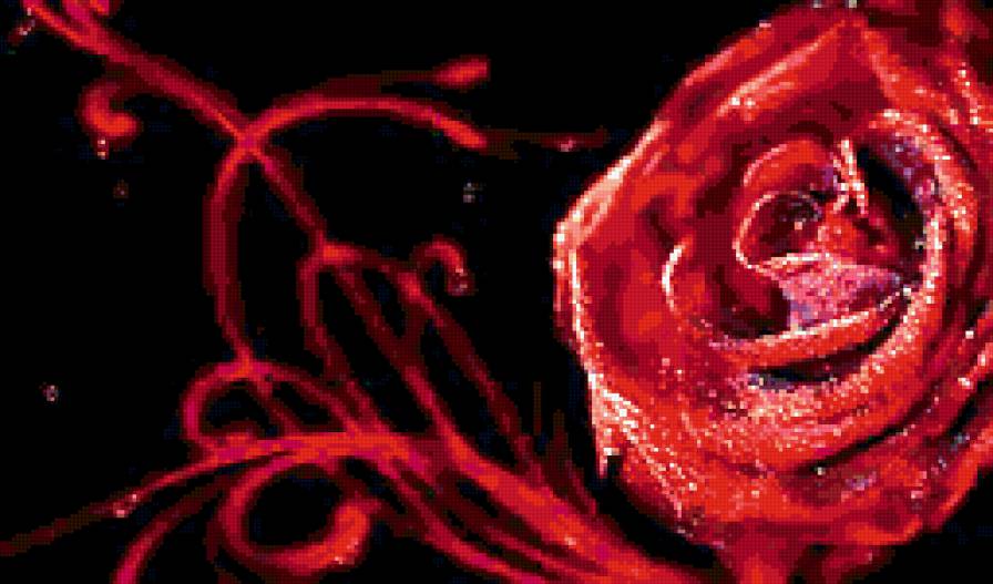 роза - предпросмотр