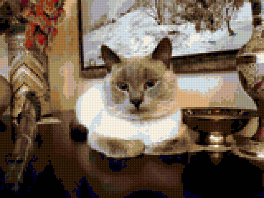 Маркиз - животные, кошки - предпросмотр