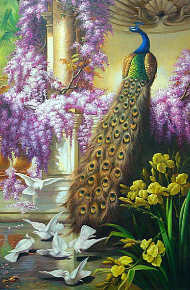 Павлин - дворец, голуби, птицы, цветы - оригинал