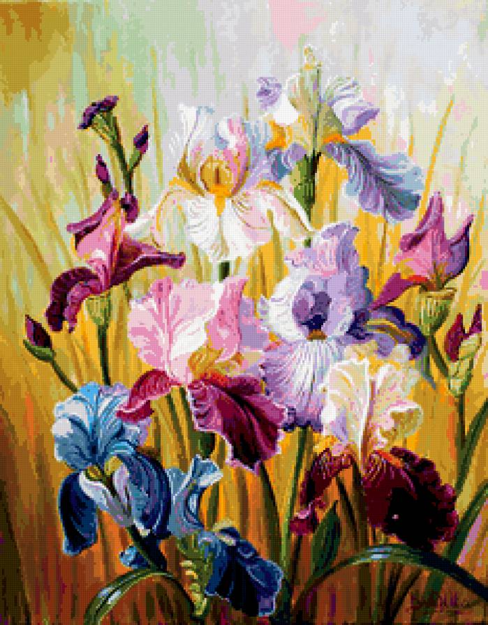 чарующие ирисы - ирисы, цветы, природа, картины, лето, букет - предпросмотр