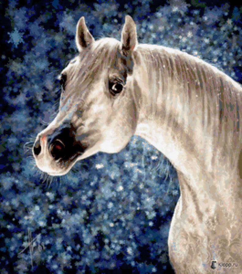 белый конь - картины, животные, лошади - предпросмотр