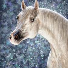 Оригинал схемы вышивки «белый конь» (№231883)