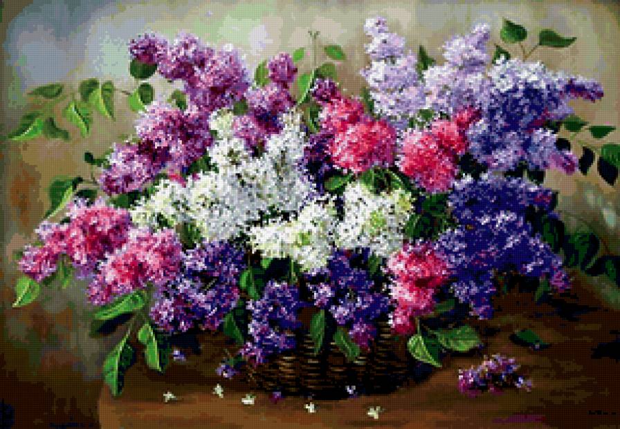 Сирень 4 - сирень, букет, цветы - предпросмотр