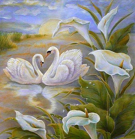 Лебеди - пруд, калла, белые лебеди, цветы, озеро, природа - оригинал