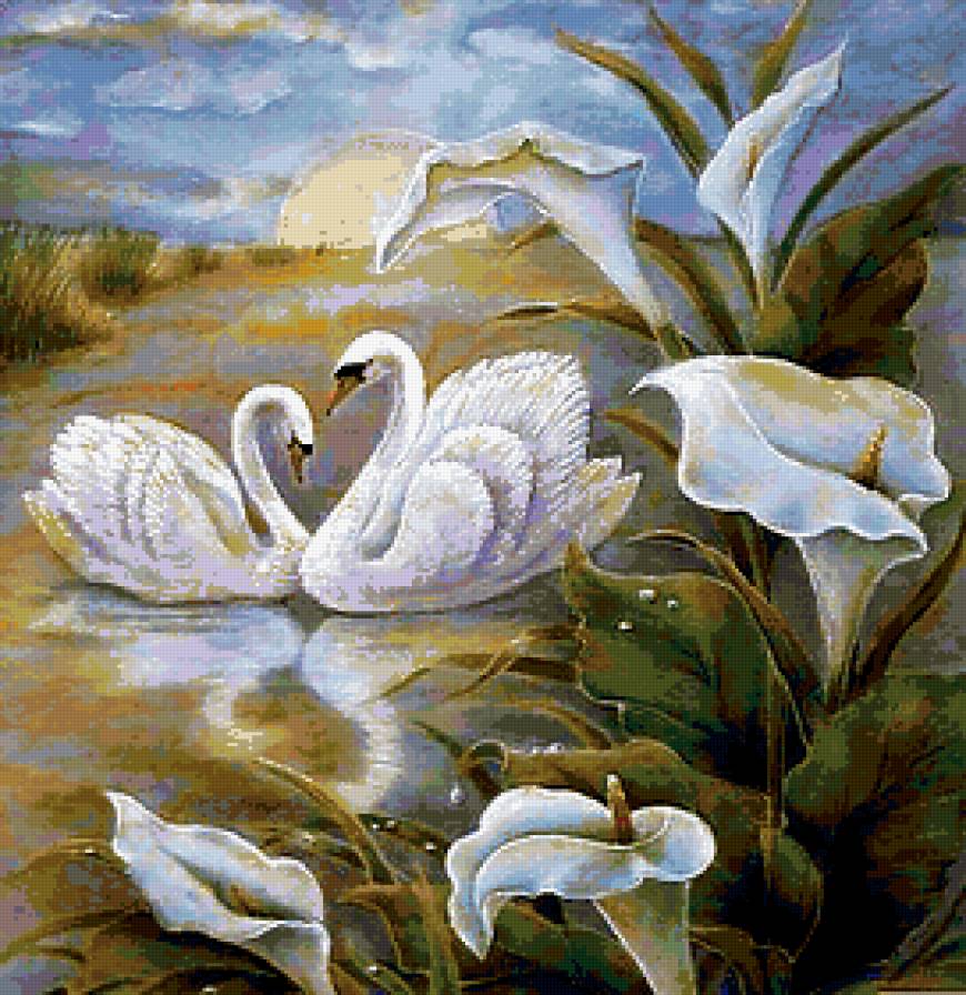 Лебеди - пруд, цветы, природа, калла, белые лебеди, озеро - предпросмотр