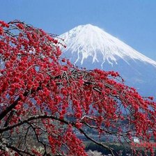 Схема вышивки «горы2»