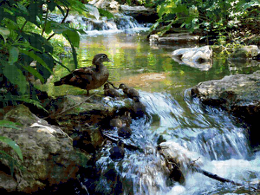 №232160 - предпросмотр