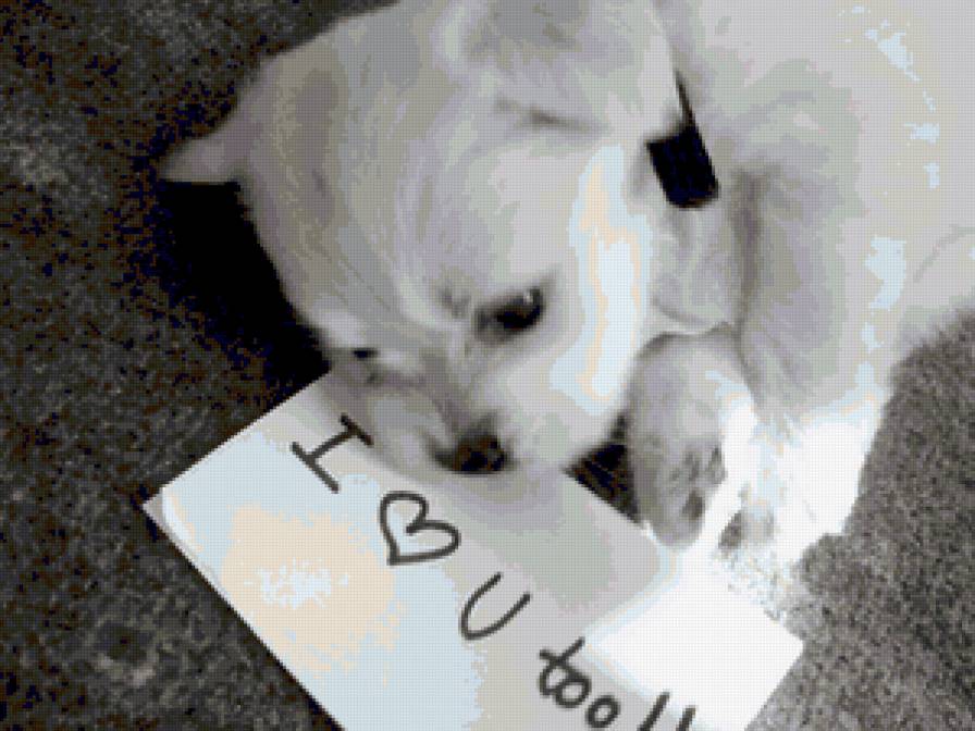 кроха - монохром, щенок, кроха - предпросмотр