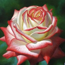 Схема вышивки «№232194»