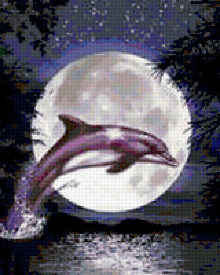 Дельфин - животные - предпросмотр