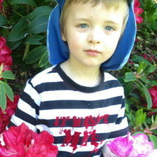 Схема вышивки «martin 4»