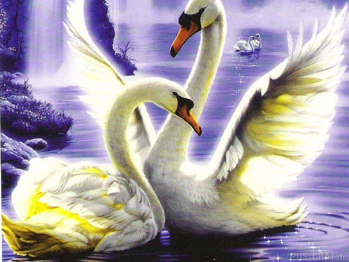 №232271 - лебеди, картина, река, птицы - оригинал