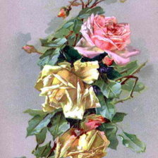 Оригинал схемы вышивки «розы» (№232278)