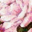 Предпросмотр схемы вышивки «букет» (№232284)