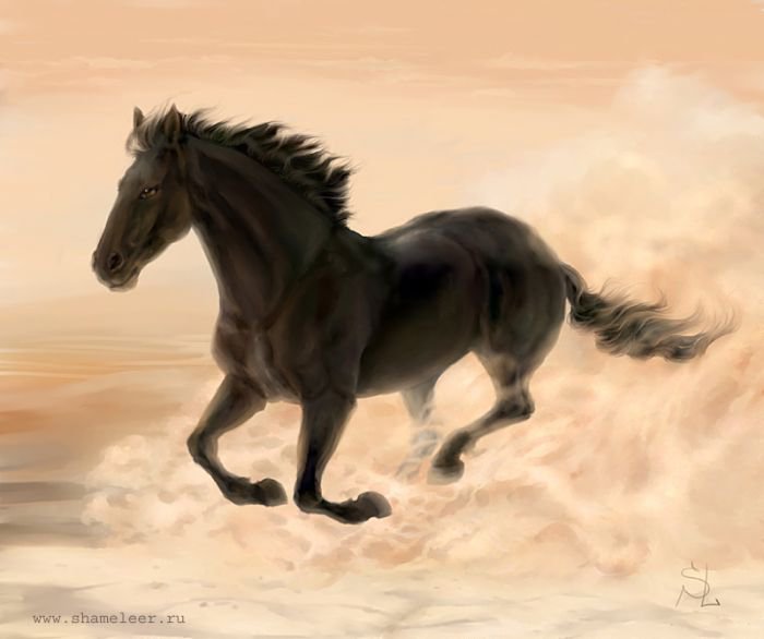 Бегущая лошадь - животные, лошадь, красота - оригинал