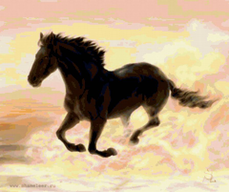 Бегущая лошадь - красота, животные, лошадь - предпросмотр