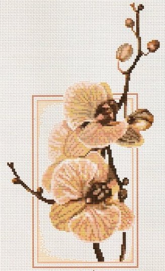 №232583 - оригинал