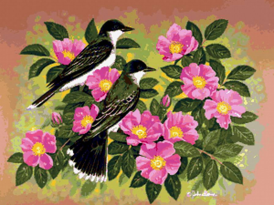 №232635 - птицы, цветы - предпросмотр