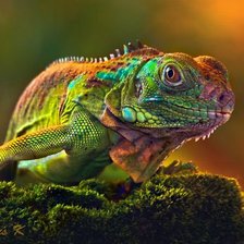 Схема вышивки «№232684»