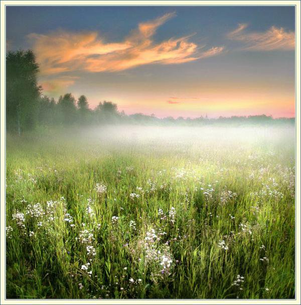 рождение облака - лето, закат, туман, пейзаж - оригинал