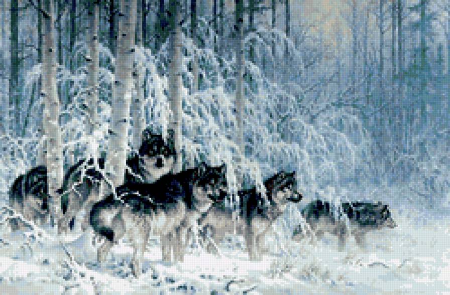 Волки - волки, зима, лес, стая - предпросмотр