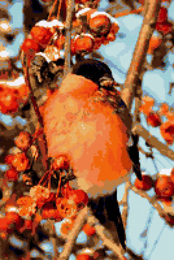 Снегирь 2 - зима рябина, природа, птицы - предпросмотр