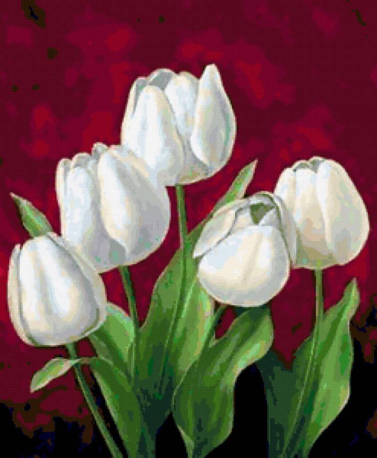 Белые тюльпаны ч.2 - триптих, цветок, полиптих, диптих, тюльпан, цветы, тюльпаны - предпросмотр