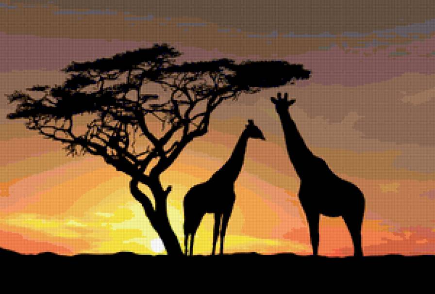 сахара - сахара. - предпросмотр