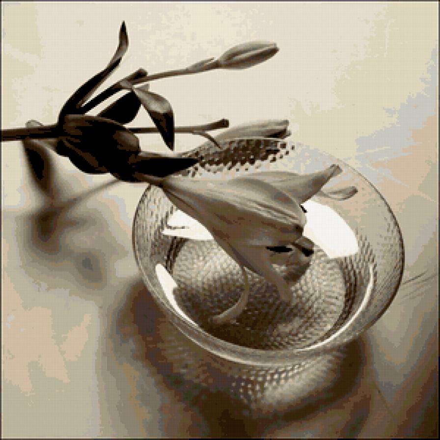 лилия - цветок, черно-белое, лилия - предпросмотр