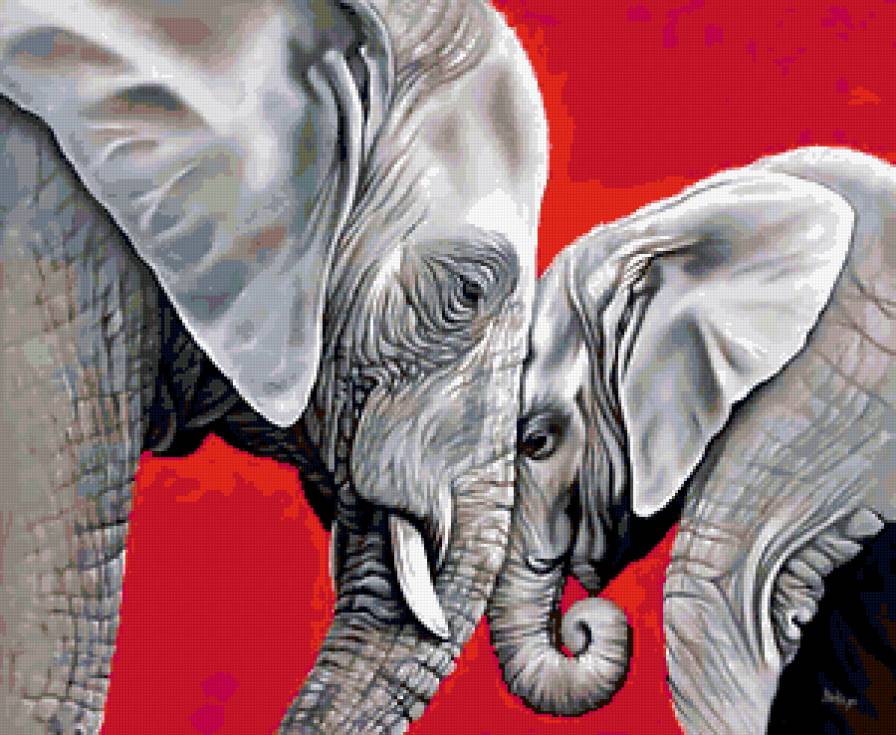 слоны - животные, слоны - предпросмотр