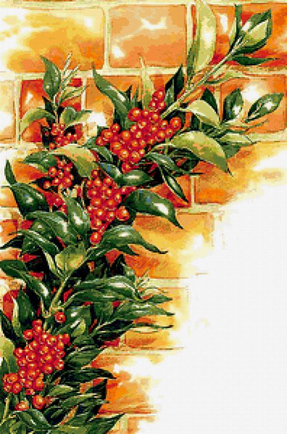 Ягоды - ягоды - предпросмотр