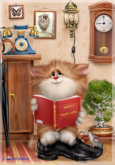 Котейка - коты - оригинал