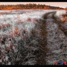 Схема вышивки «№233452»