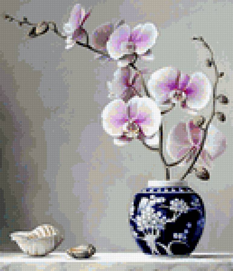 orchidea - предпросмотр