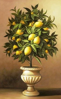 №233495 - оригинал