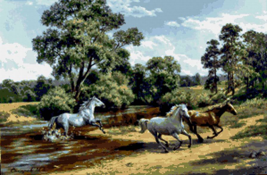 водопой - лошади, природа - предпросмотр