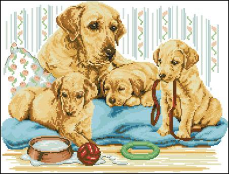 семья лабрадор - животные - оригинал