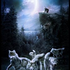 Схема вышивки «Стая»