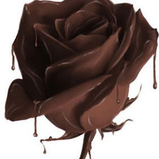 Схема вышивки «Шокороза»