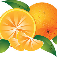Апельсин (можно на подушку)
