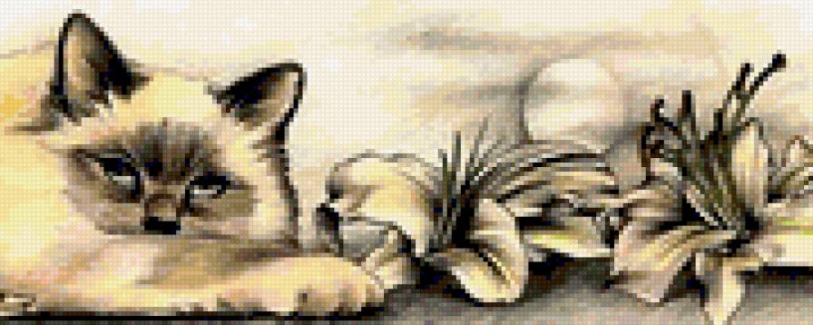 cica - предпросмотр