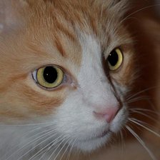 Схема вышивки «22222»